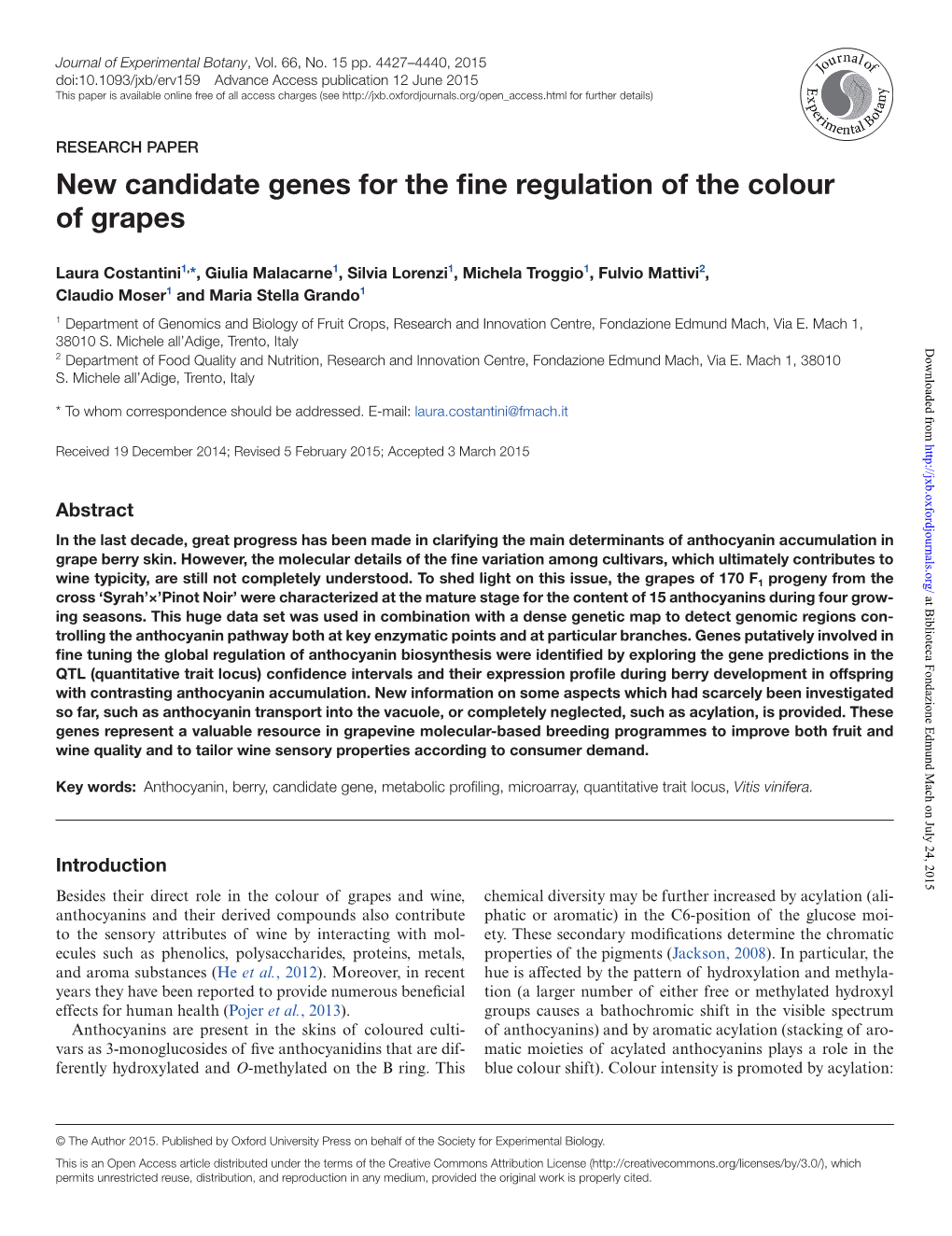 New Candidate Genes for the Fine Regulation of the Colour of Grapes