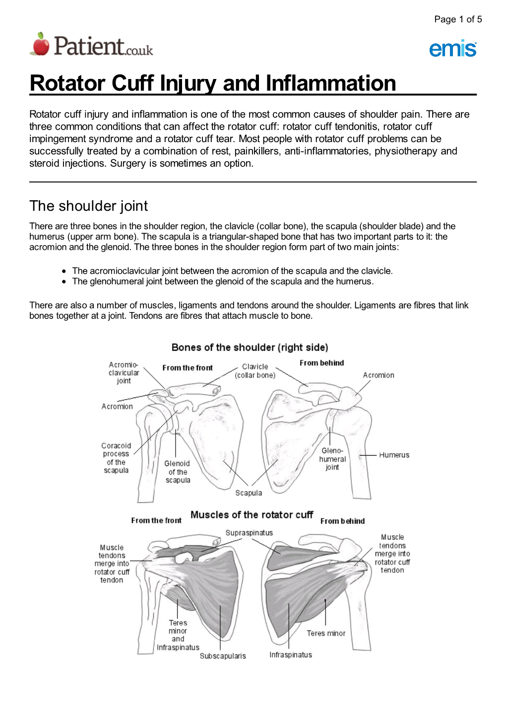 Rotator Cuff Injury and Inflammation