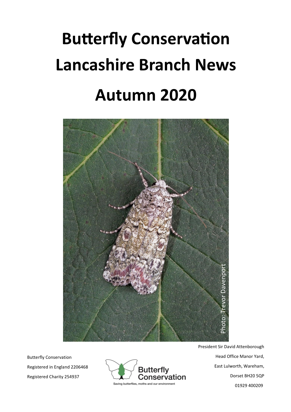 Butterfly Conservation Lancashire Branch News Autumn 2020
