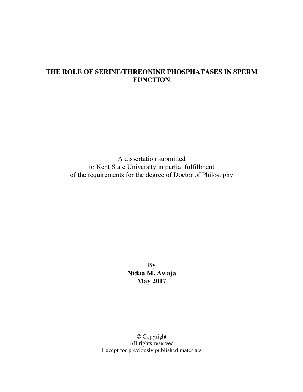 Nidaa Awaja Thesis.Pdf