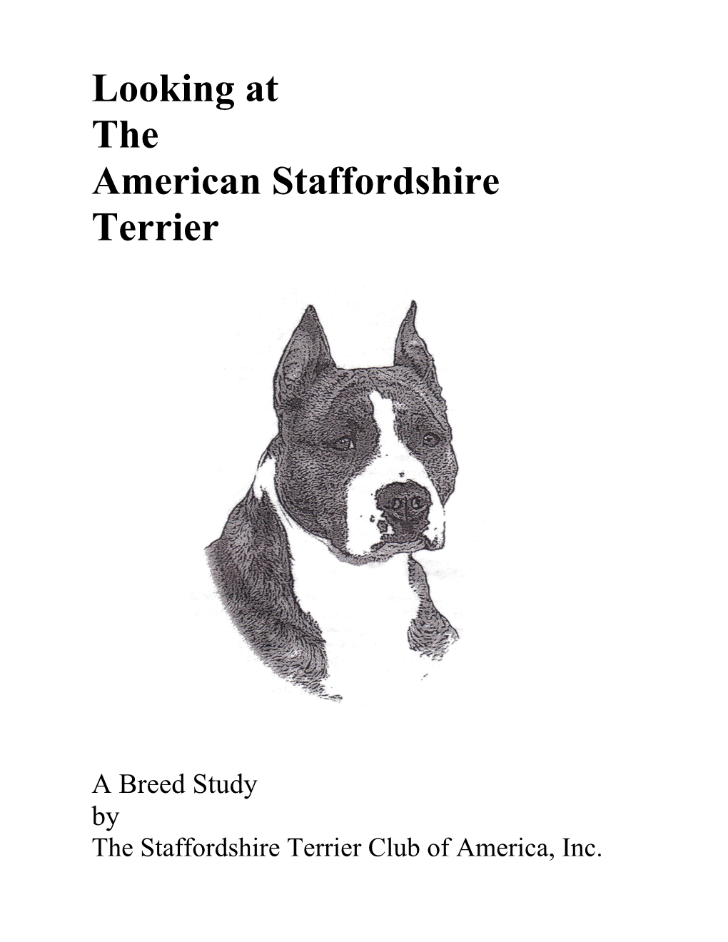 Looking at the American Staffordshire Terrier