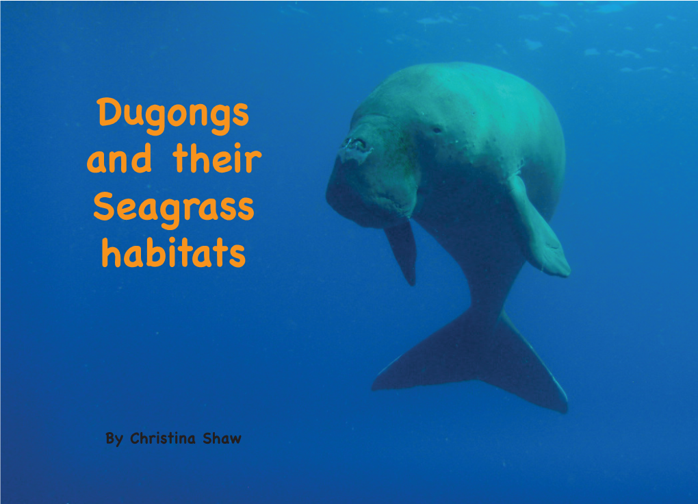 Dugong and Their Seagrass Habitat Small