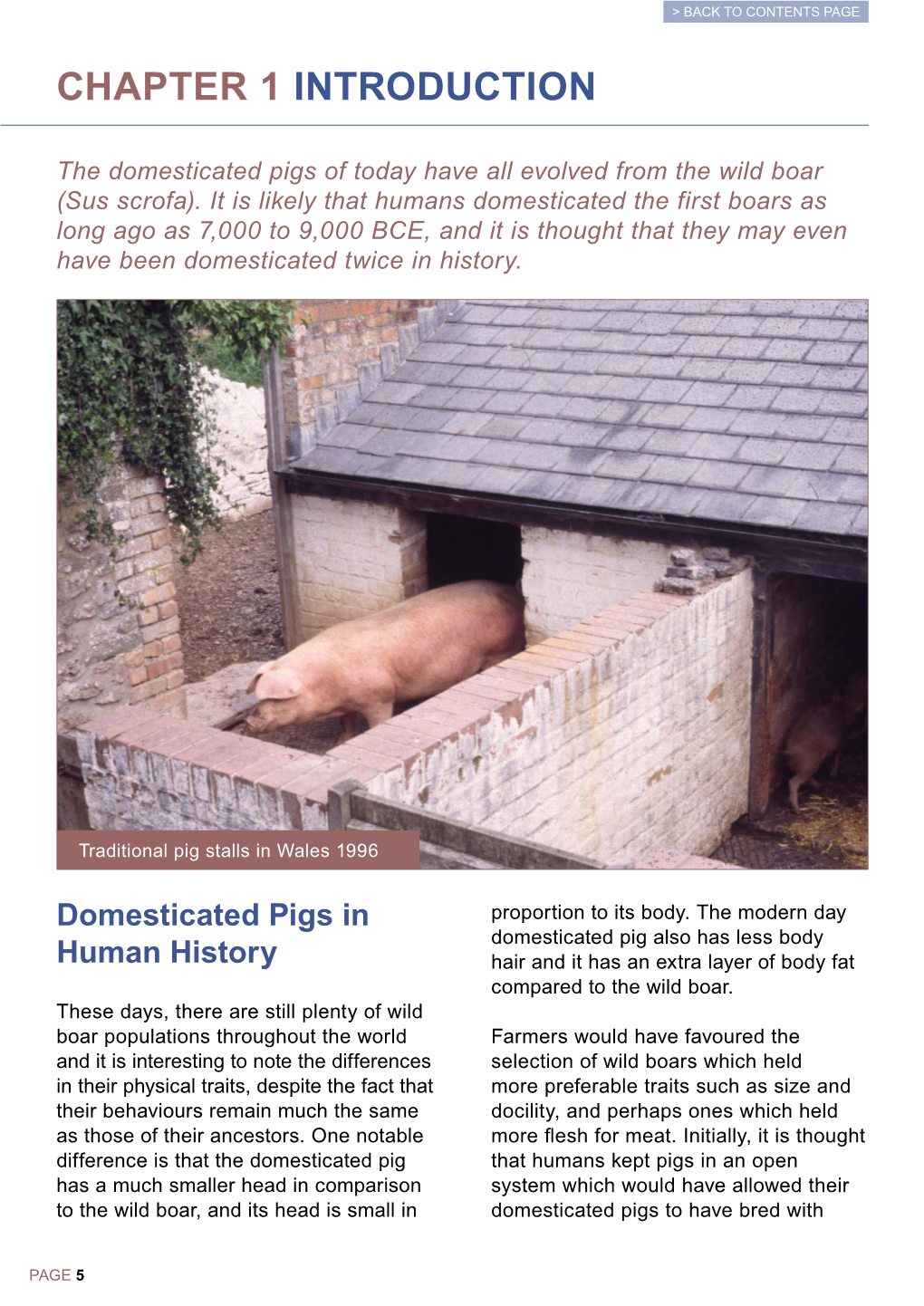 Chapter 1 Introduction the Domesticated Pigs of Today Have All