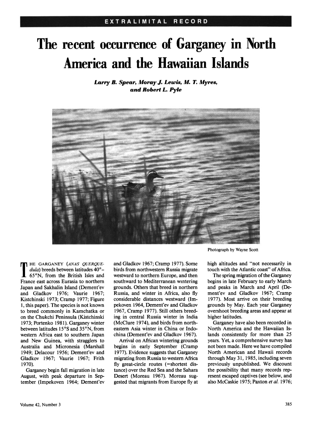 The Recent Occurrence of Garganey in North America and the Hawaiian