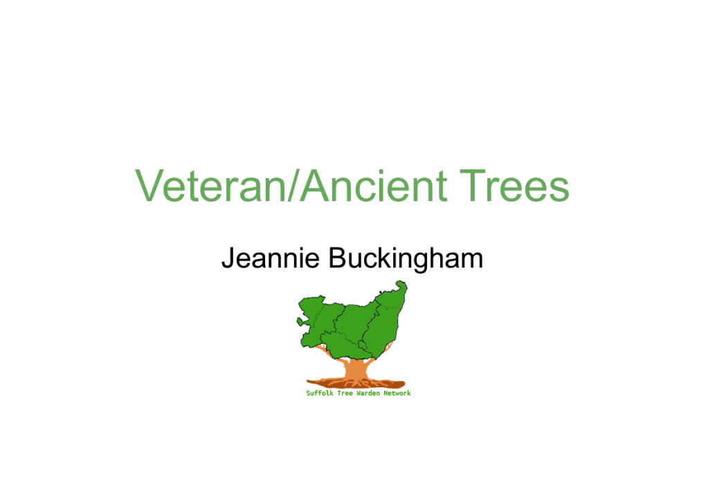 6.-Jeannie Buckingham Veterantrees-2.Pdf