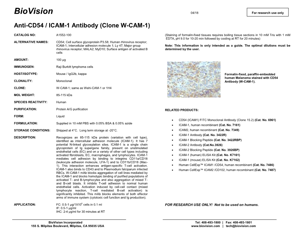 Anti-CD54 / ICAM-1 Antibody (Clone W-CAM-1)