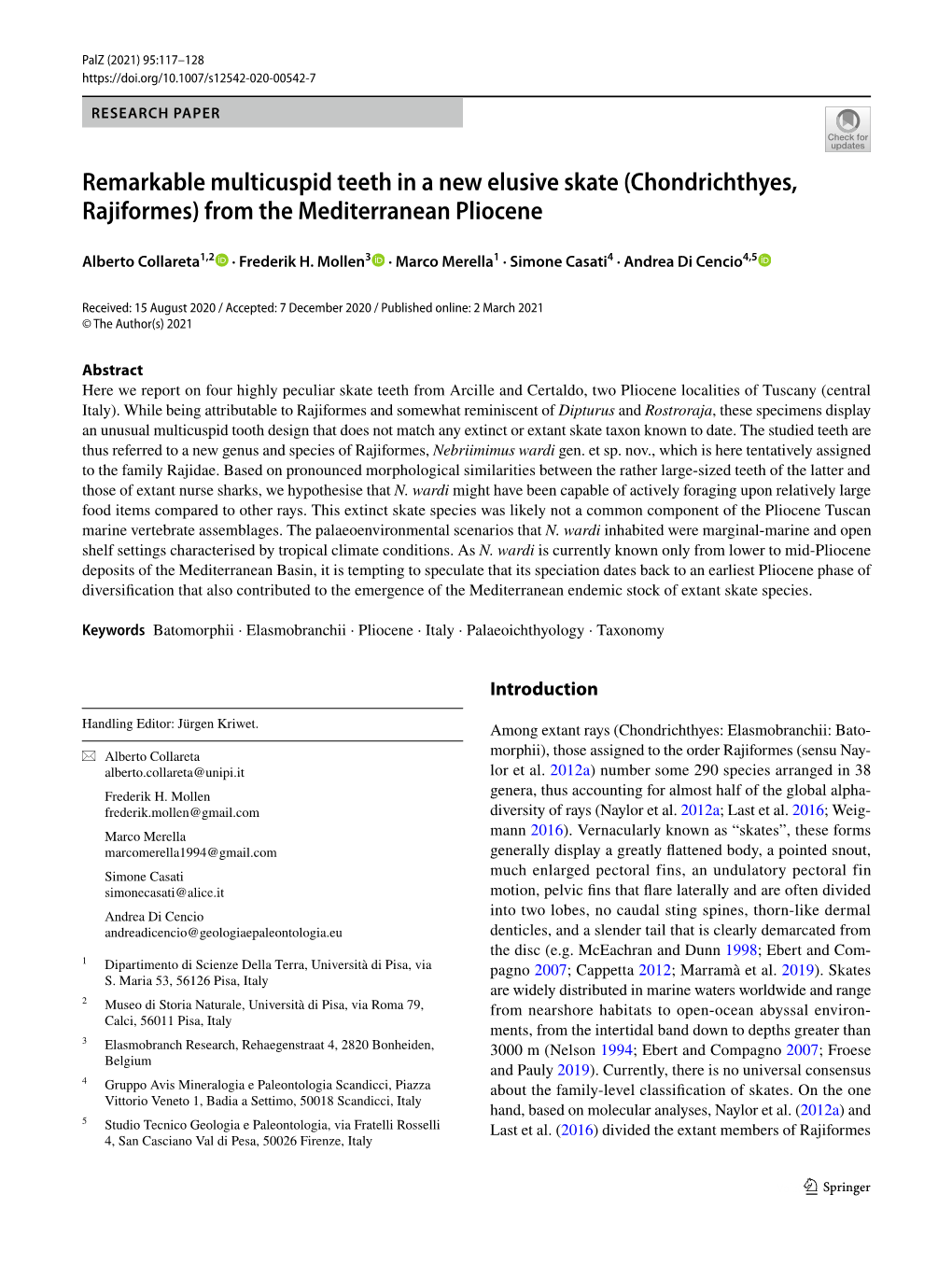 (Chondrichthyes, Rajiformes) from the Mediterranean Pliocene