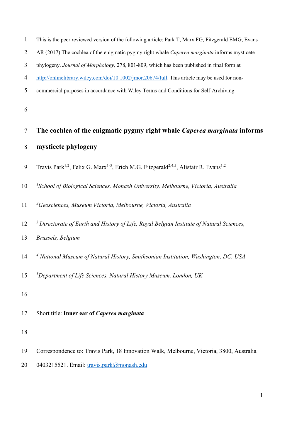 The Cochlea of the Enigmatic Pygmy Right Whale Caperea Marginata Informs Mysticete