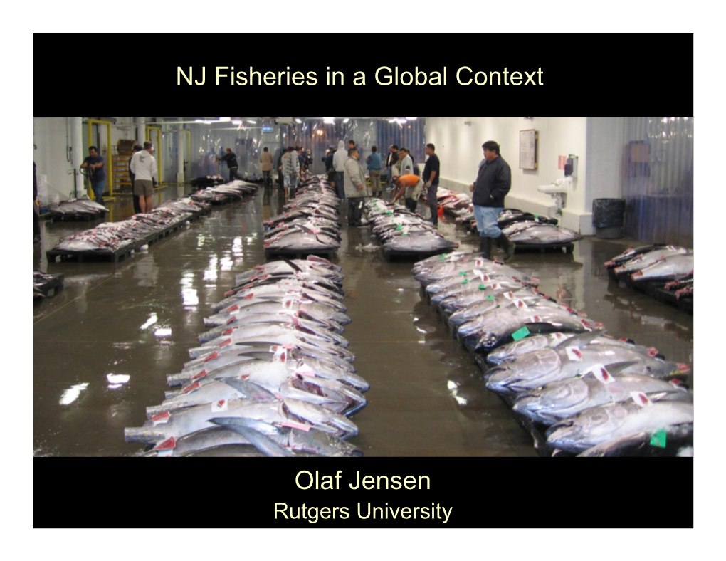 NJ Fisheries in a Global Context Olaf Jensen