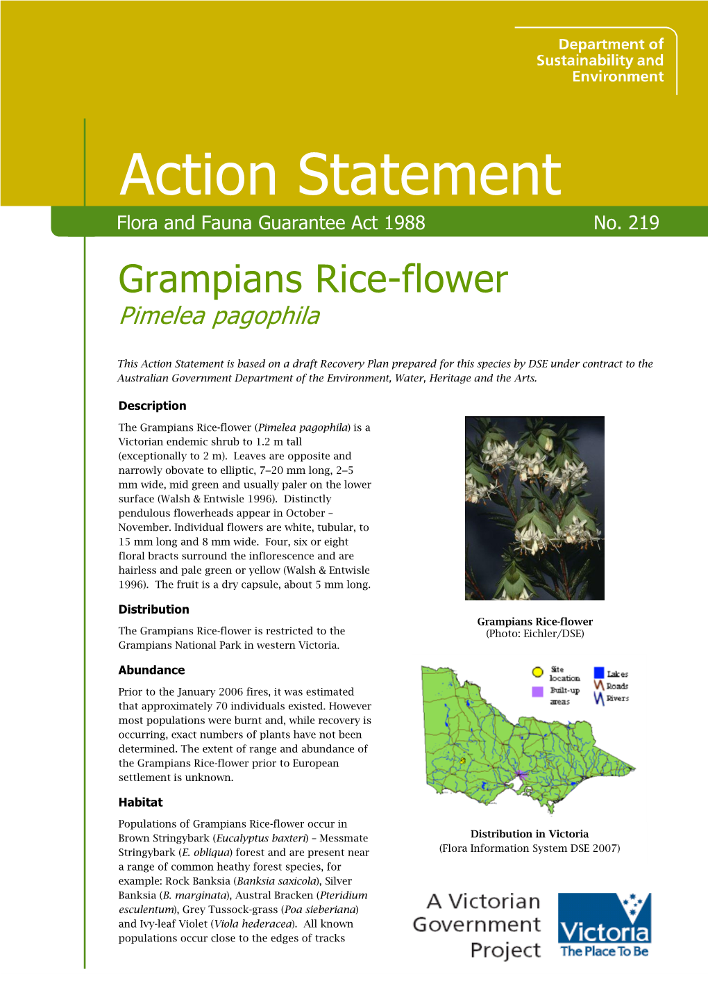 Grampians Rice-Flower (Pimelea Pagophila)