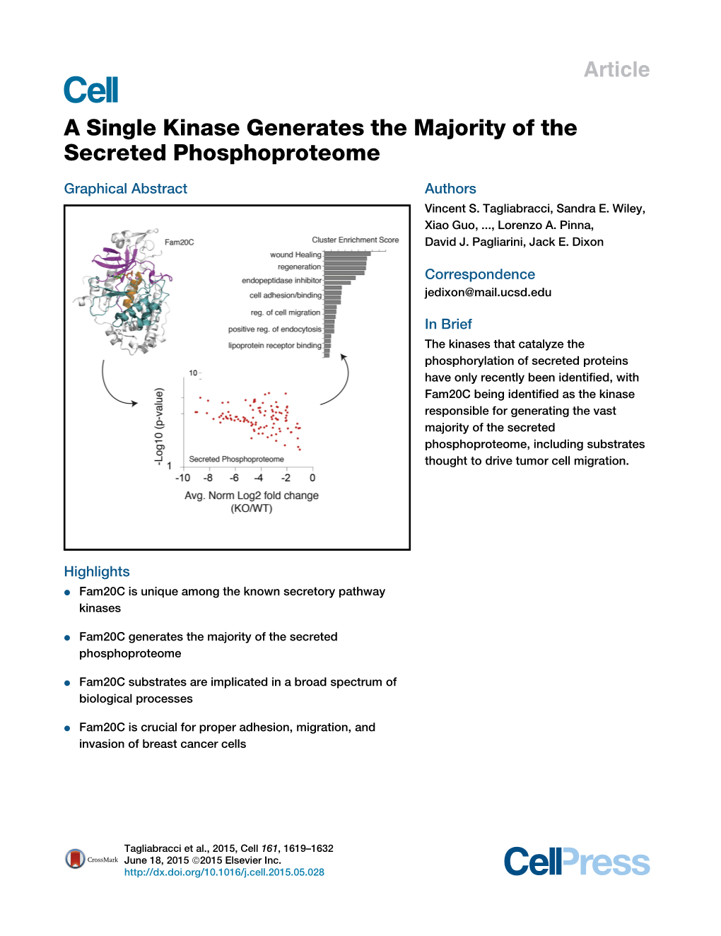 A Single Kinase Generates the Majority of the Secreted Phosphoproteome