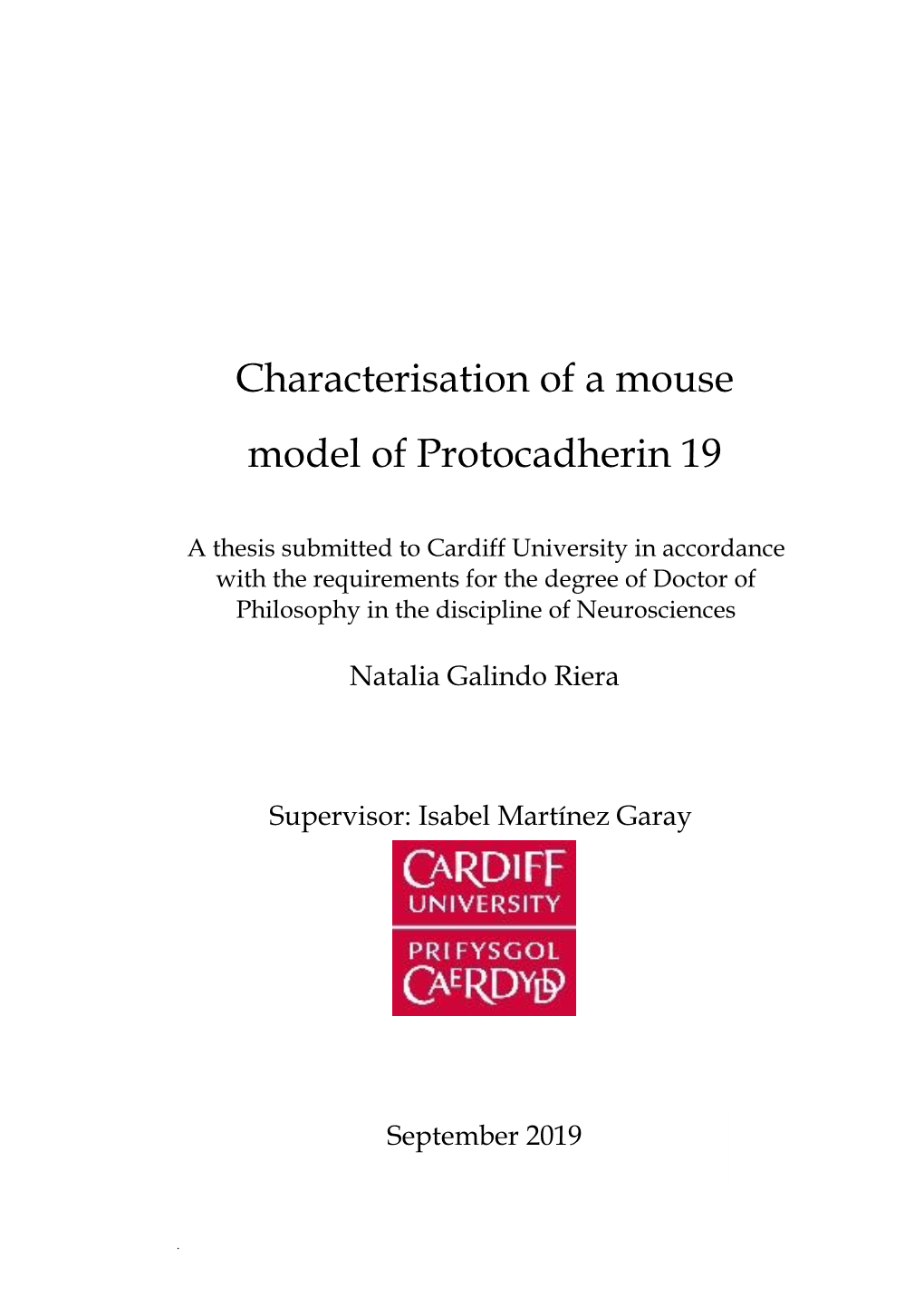 Characterisation of a Mouse Model of Protocadherin 19