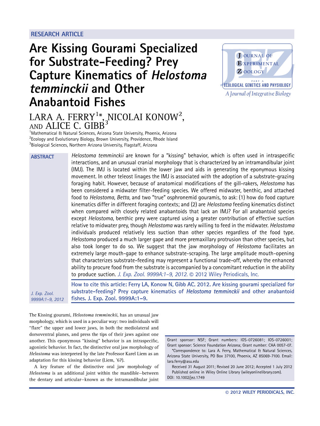 Are Kissing Gourami Specialized for Substratefeeding? Prey Capture