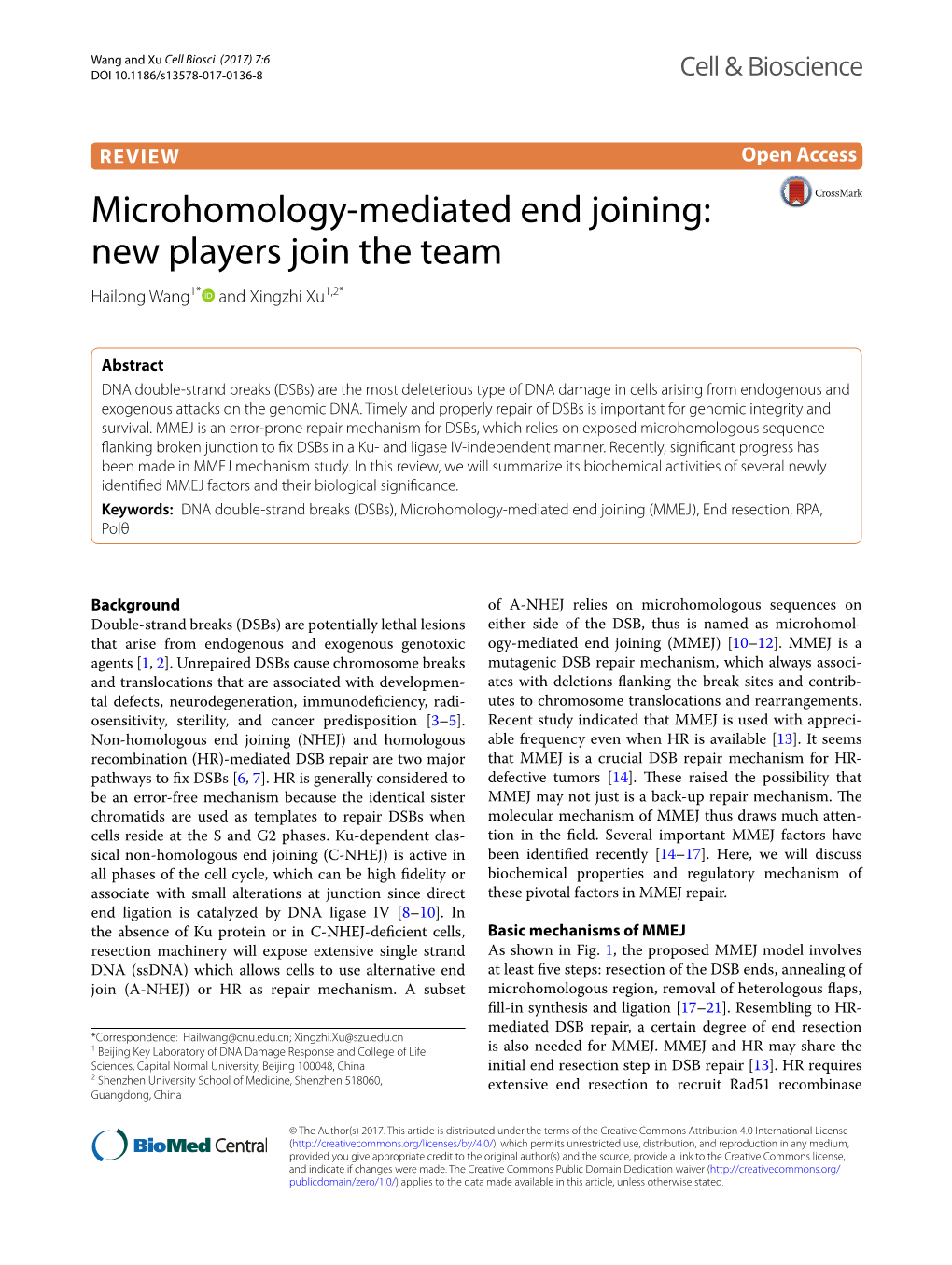 Microhomology-Mediated End Joining (MMEJ), End Resection, RPA, Polθ