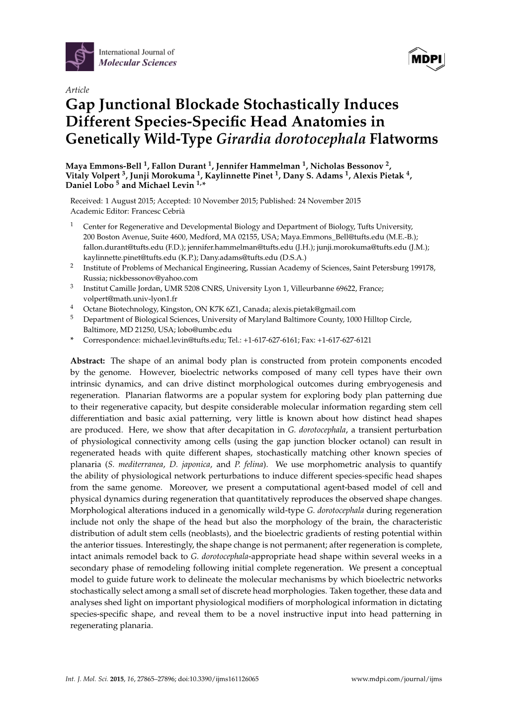 Gap Junctional Blockade Stochastically Induces Different Species-Speciﬁc Head Anatomies in Genetically Wild-Type Girardia Dorotocephala Flatworms