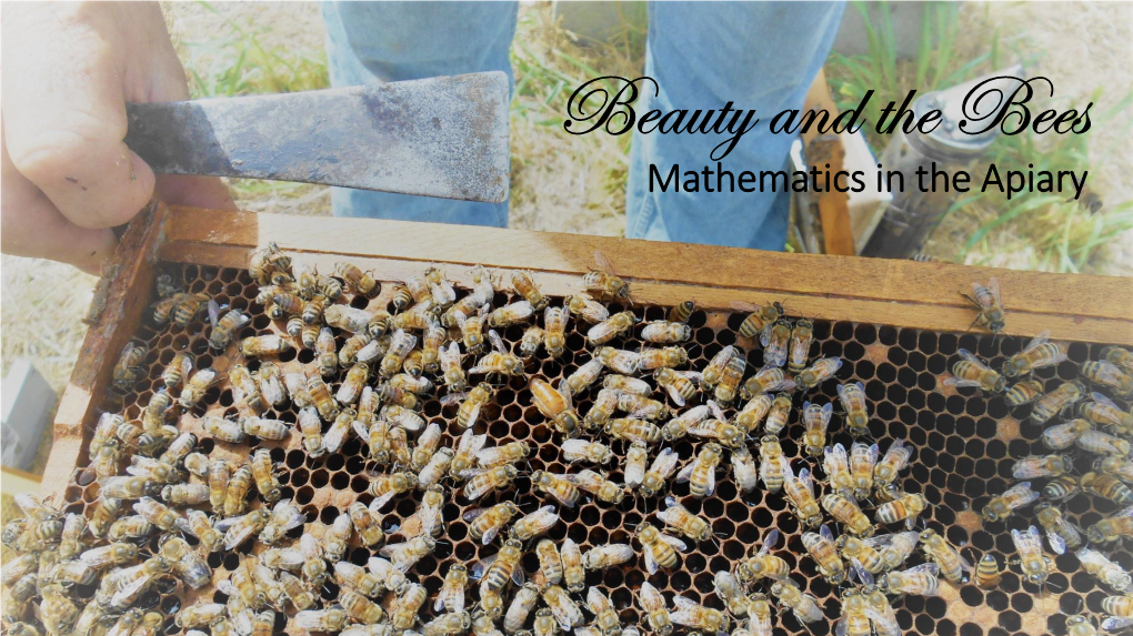 Honey Bees and Math