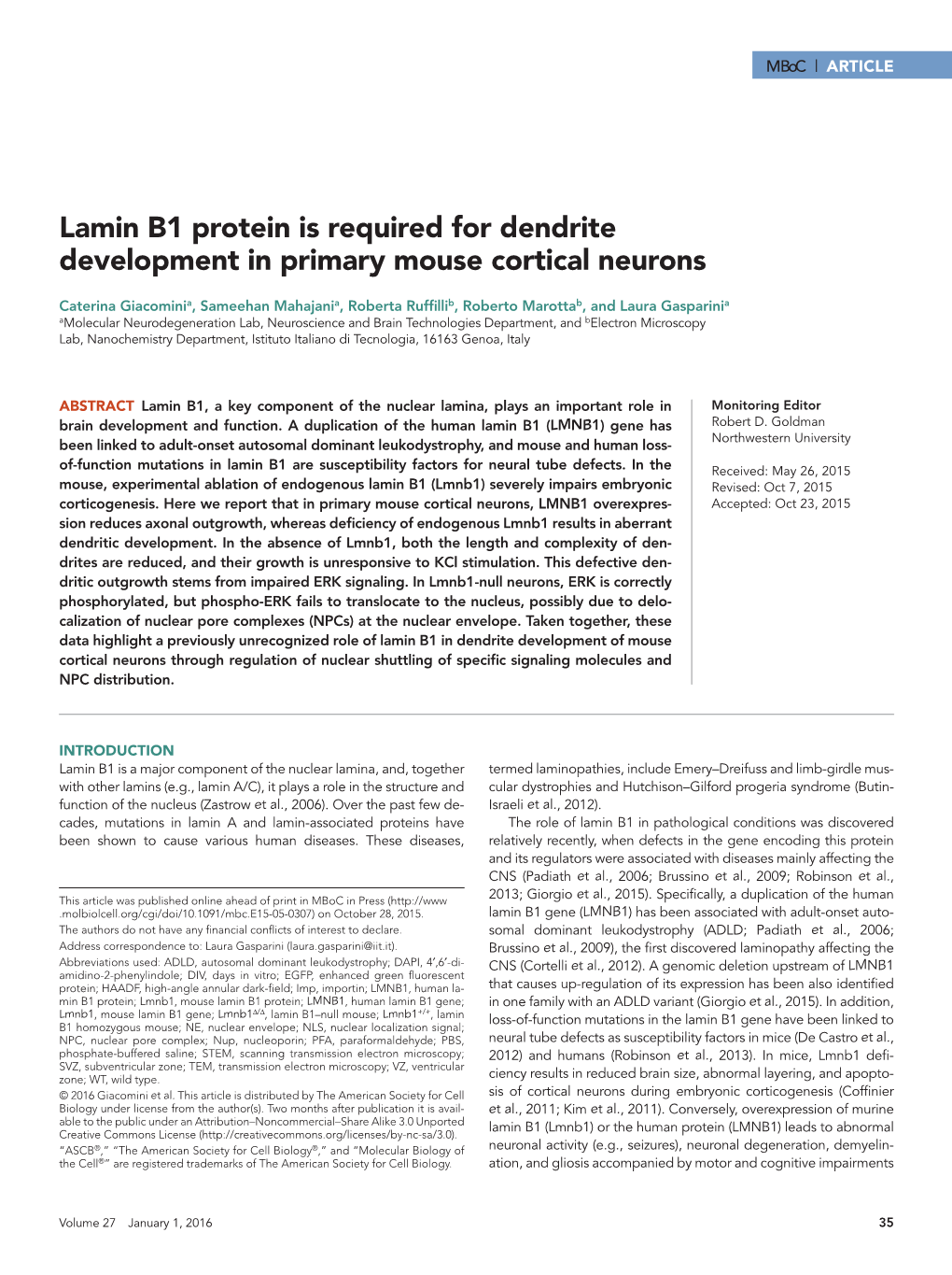 Lamin B1 Protein Is Required for Dendrite Development in Primary Mouse Cortical Neurons