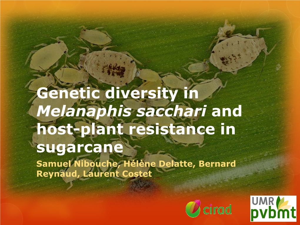 Genetic Diversity in Melanaphis Sacchari and Host-Plant Resistance