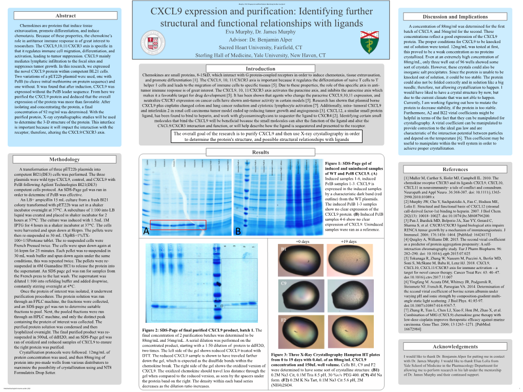 CXCL9 Expression and Purification: Identifying Further Structural CXCL9 Expression and Purification: Identifying Further Abstract Discussion and Implications