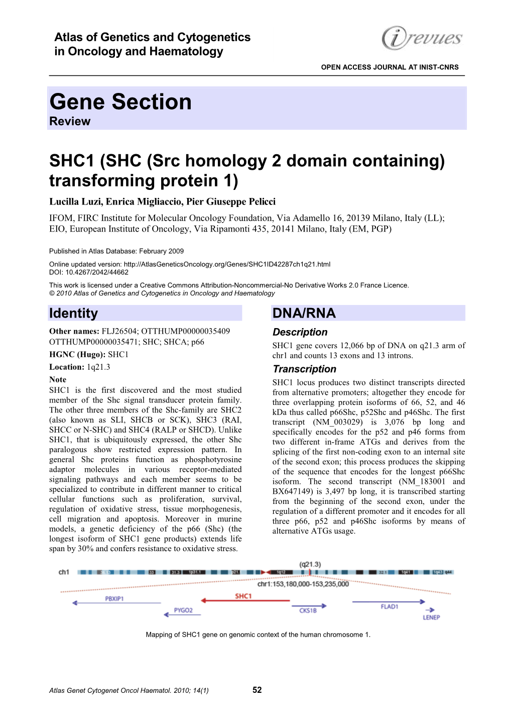 Gene Section Review