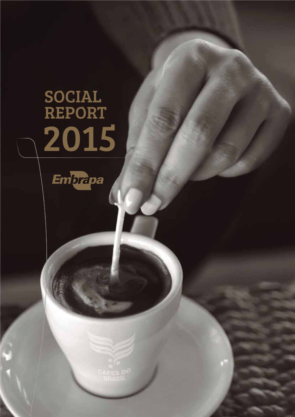Social Report 2015