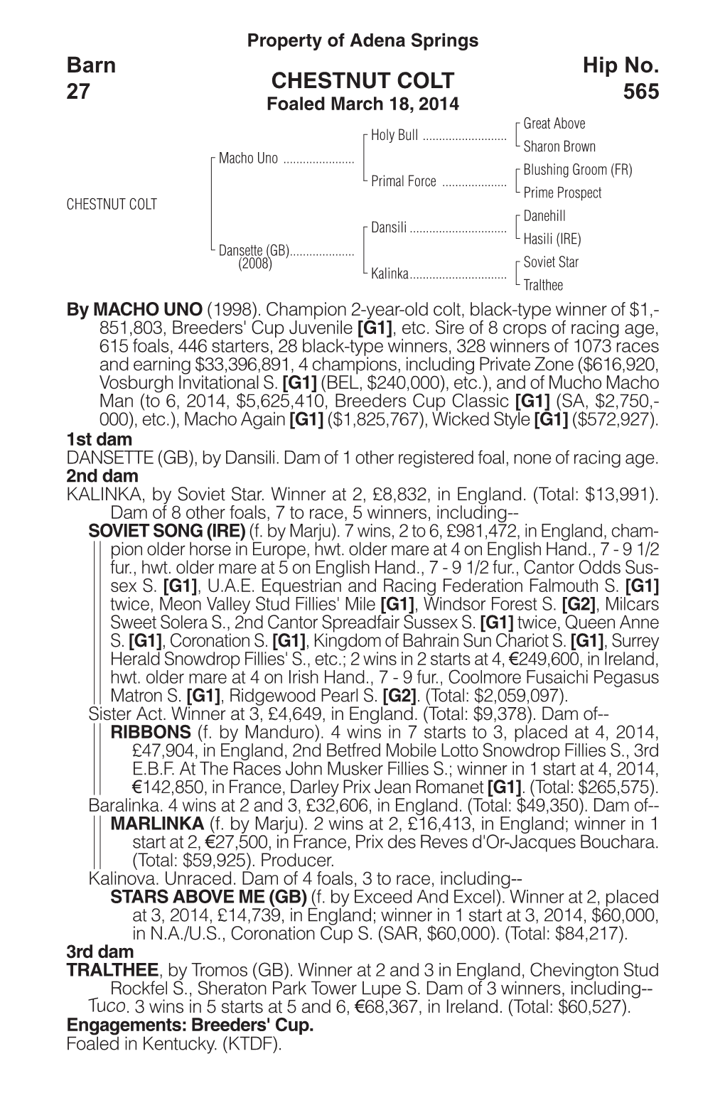 CHESTNUT COLT Barn 27 Hip No