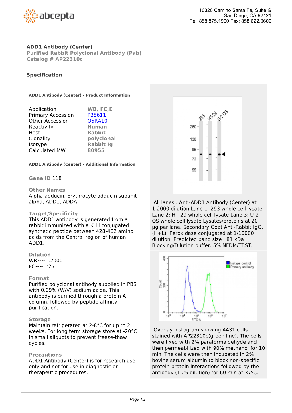 ADD1 Antibody (Center) Purified Rabbit Polyclonal Antibody (Pab) Catalog # Ap22310c