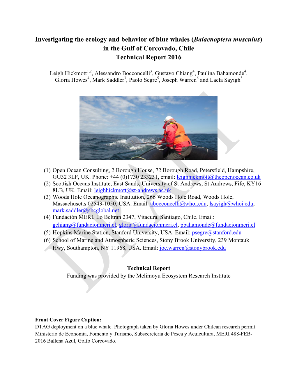 Balaenoptera Musculus) in the Gulf of Corcovado, Chile Technical Report 2016