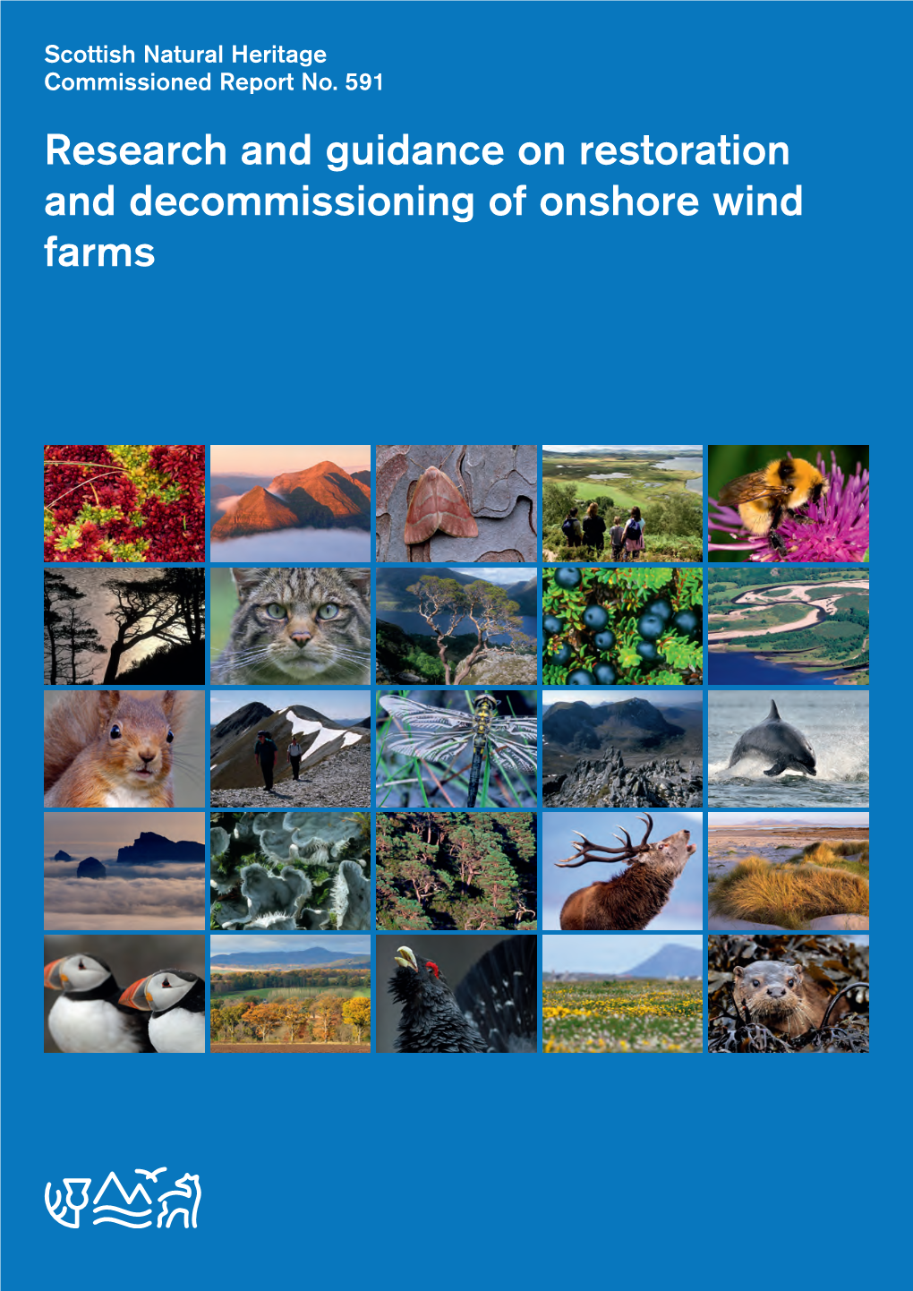 Research and Guidance on Restoration and Decommissioning of Onshore Wind Farms