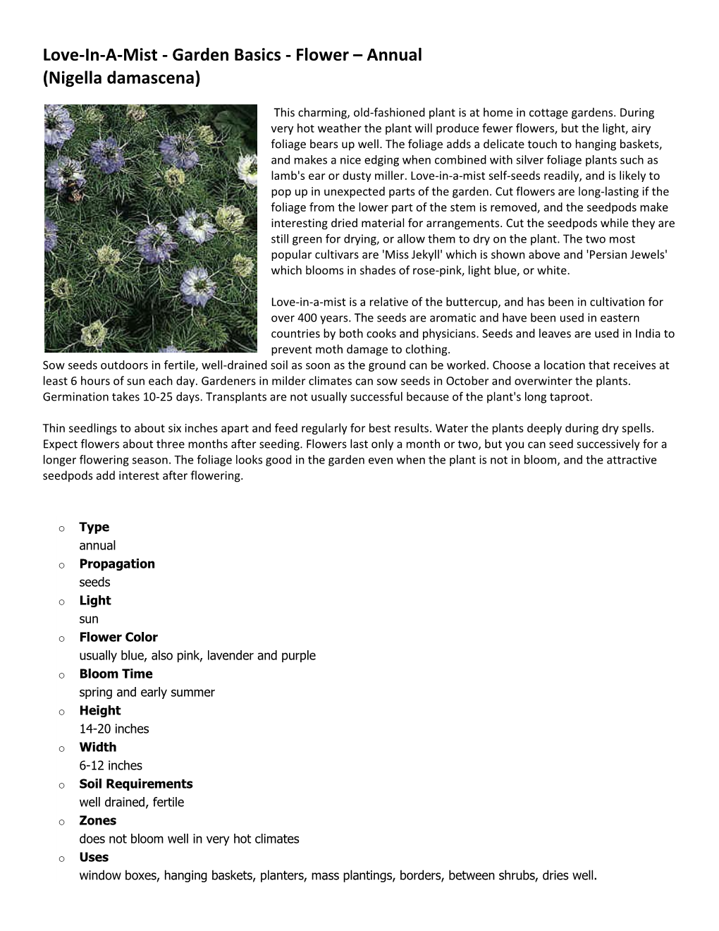 Love-In-A-Mist - Garden Basics - Flower – Annual (Nigella Damascena)