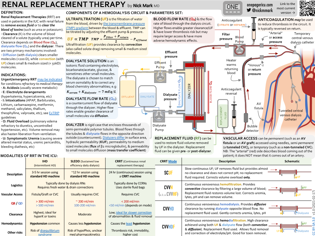 Renal Replacement Therapy