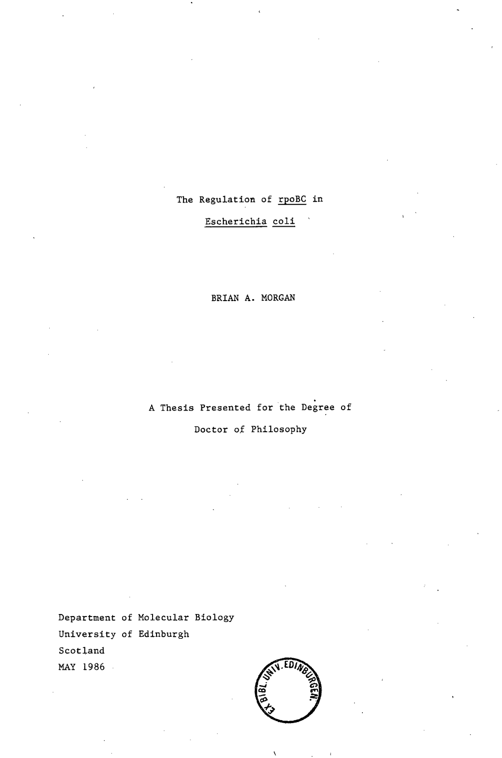 The Regulation of Rpobc in Escherichia Coli BRIAN A. MORGAN a Thesis Presented for the Degree of Doctor of Philosophy Department