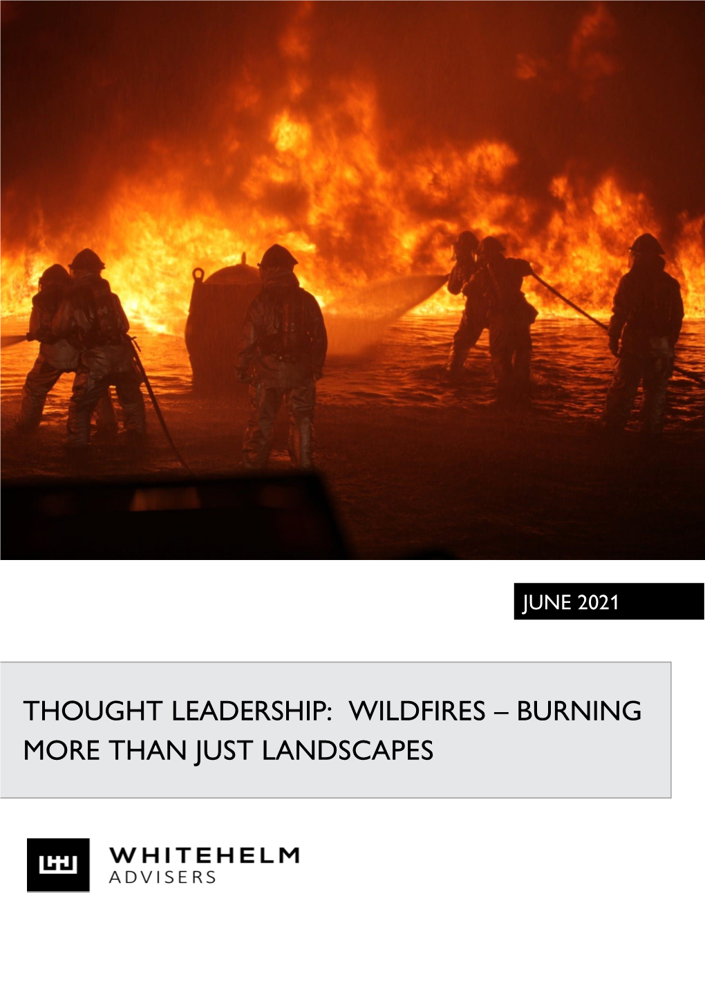 Wildfires – Burning