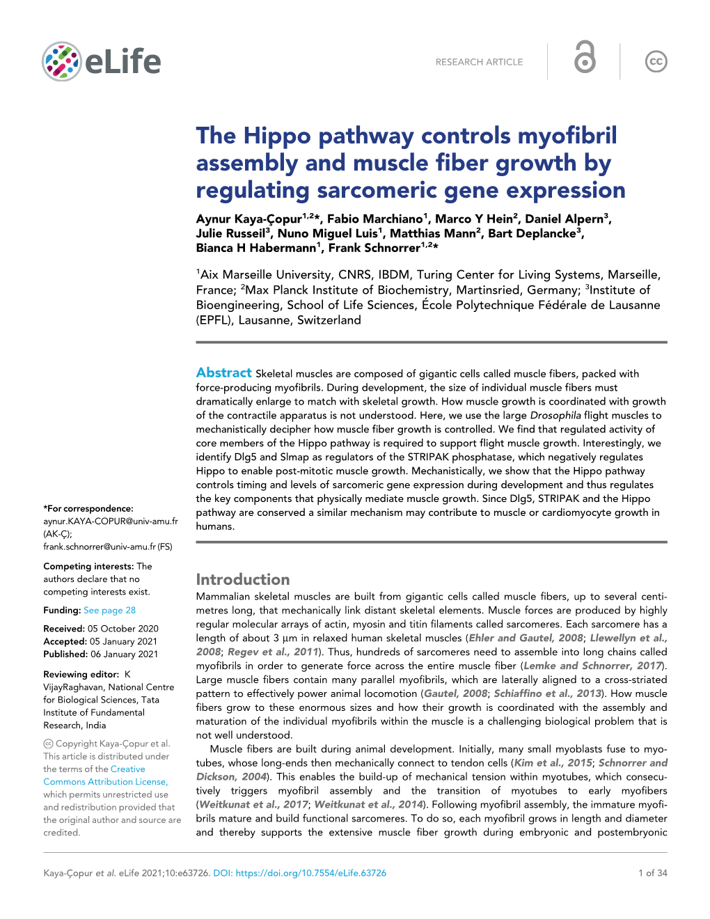 The Hippo Pathway Controls Myofibril Assembly and Muscle Fiber Growth by Regulating Sarcomeric Gene Expression