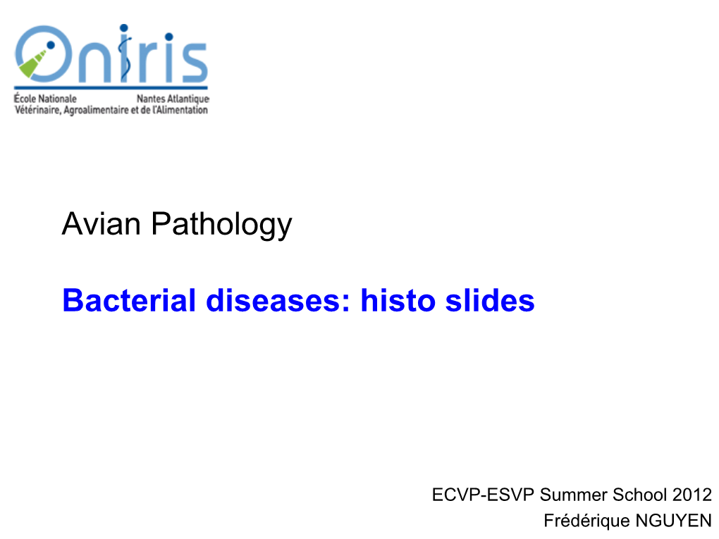 Avian Pathology Bacterial Diseases: Histo Slides