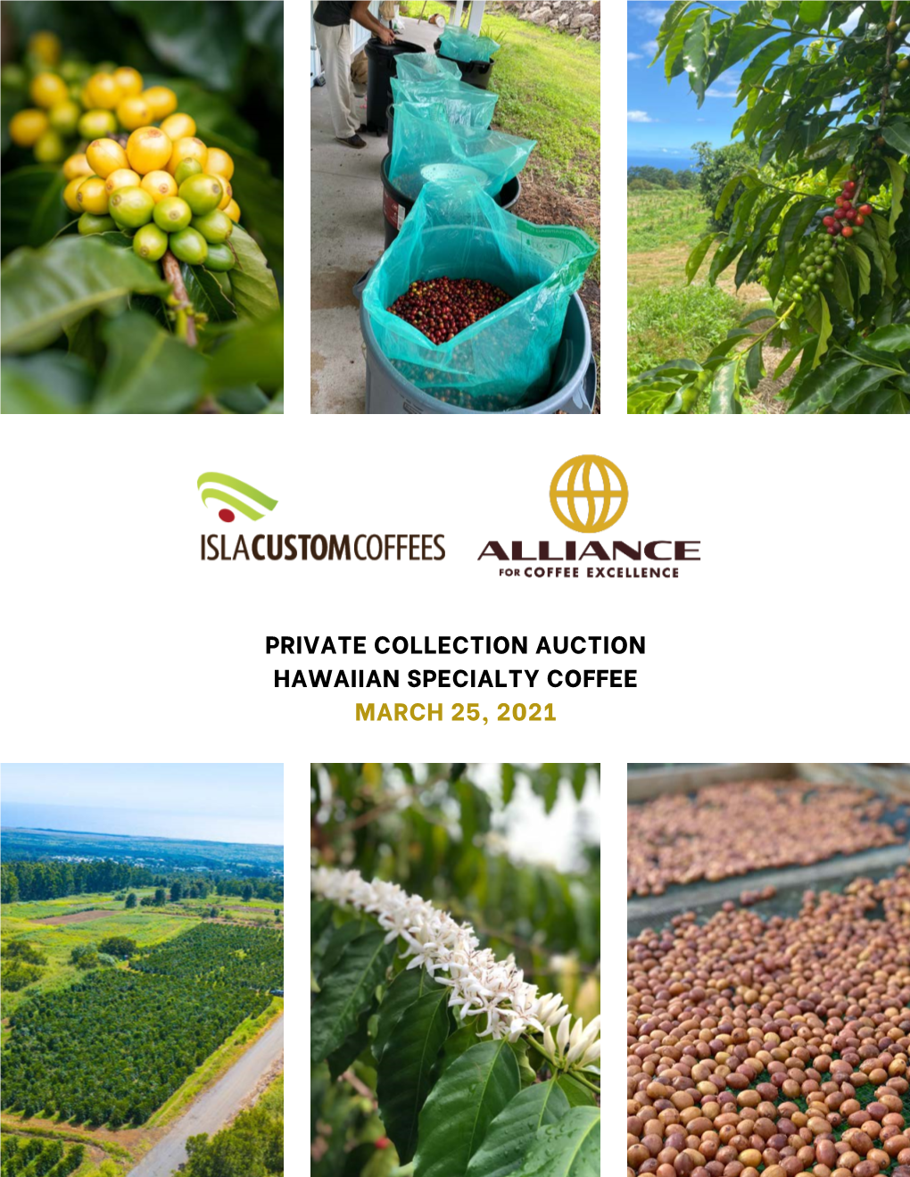 Private Collection Auction Hawaiian Specialty Coffee