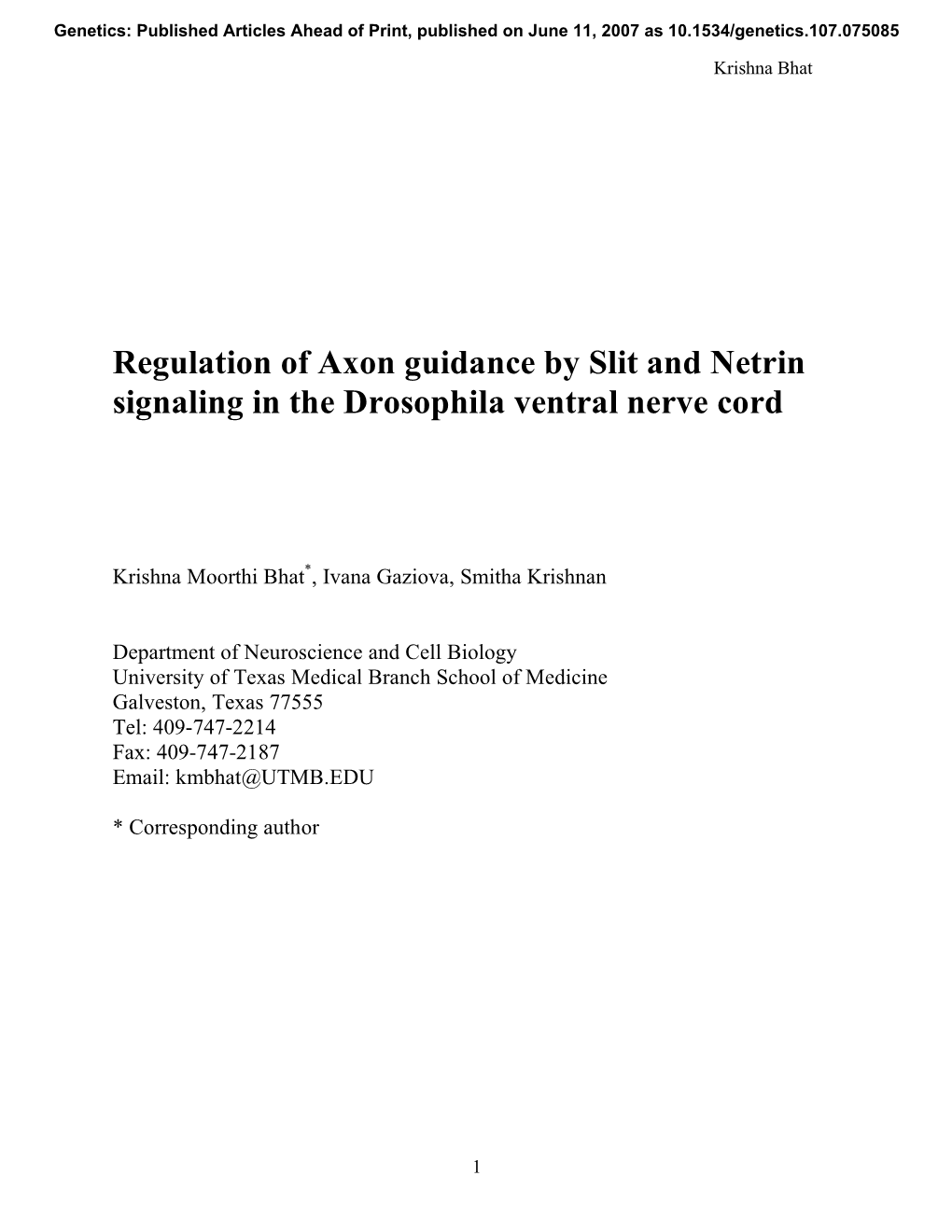 Regulation of Axon Guidance by Slit and Netrin Signaling in the Drosophila Ventral Nerve Cord