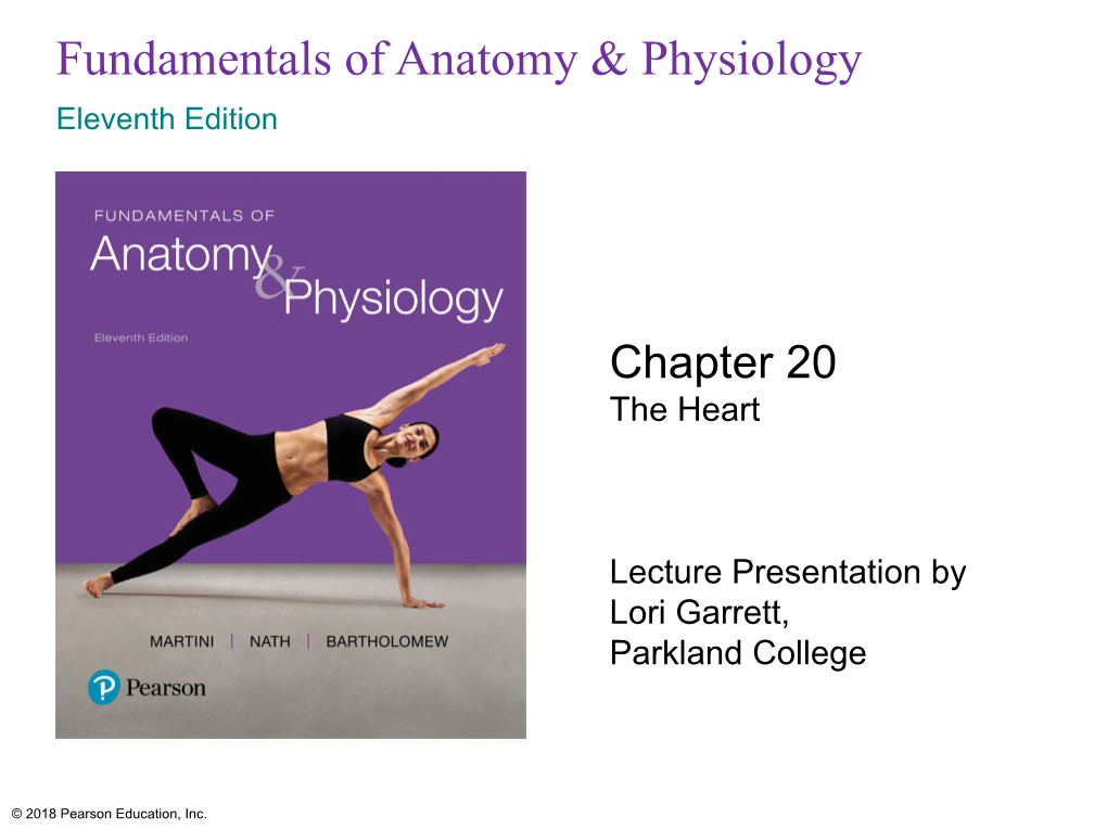 Fundamentals of Anatomy & Physiology