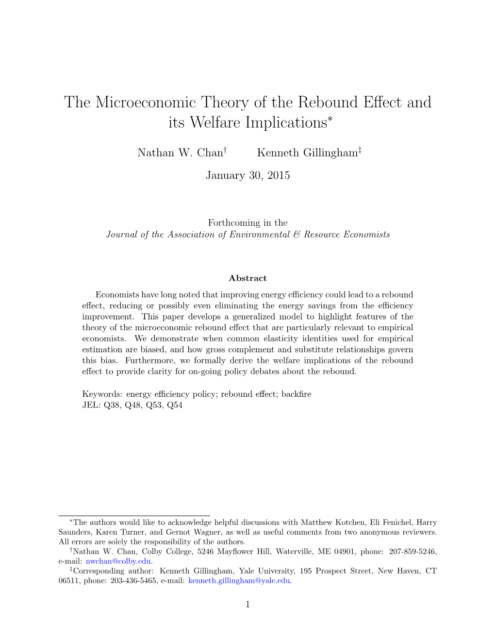 The Microeconomic Theory of the Rebound Effect and Its Welfare