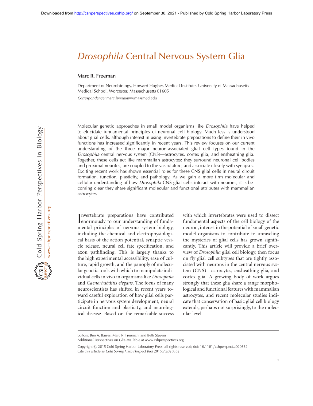 Drosophila Central Nervous System Glia