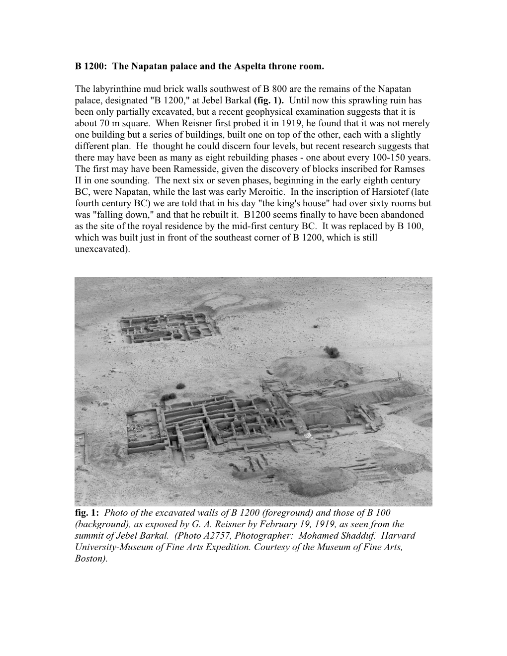 B 1200: the Napatan Palace and the Aspelta Throne Room. The