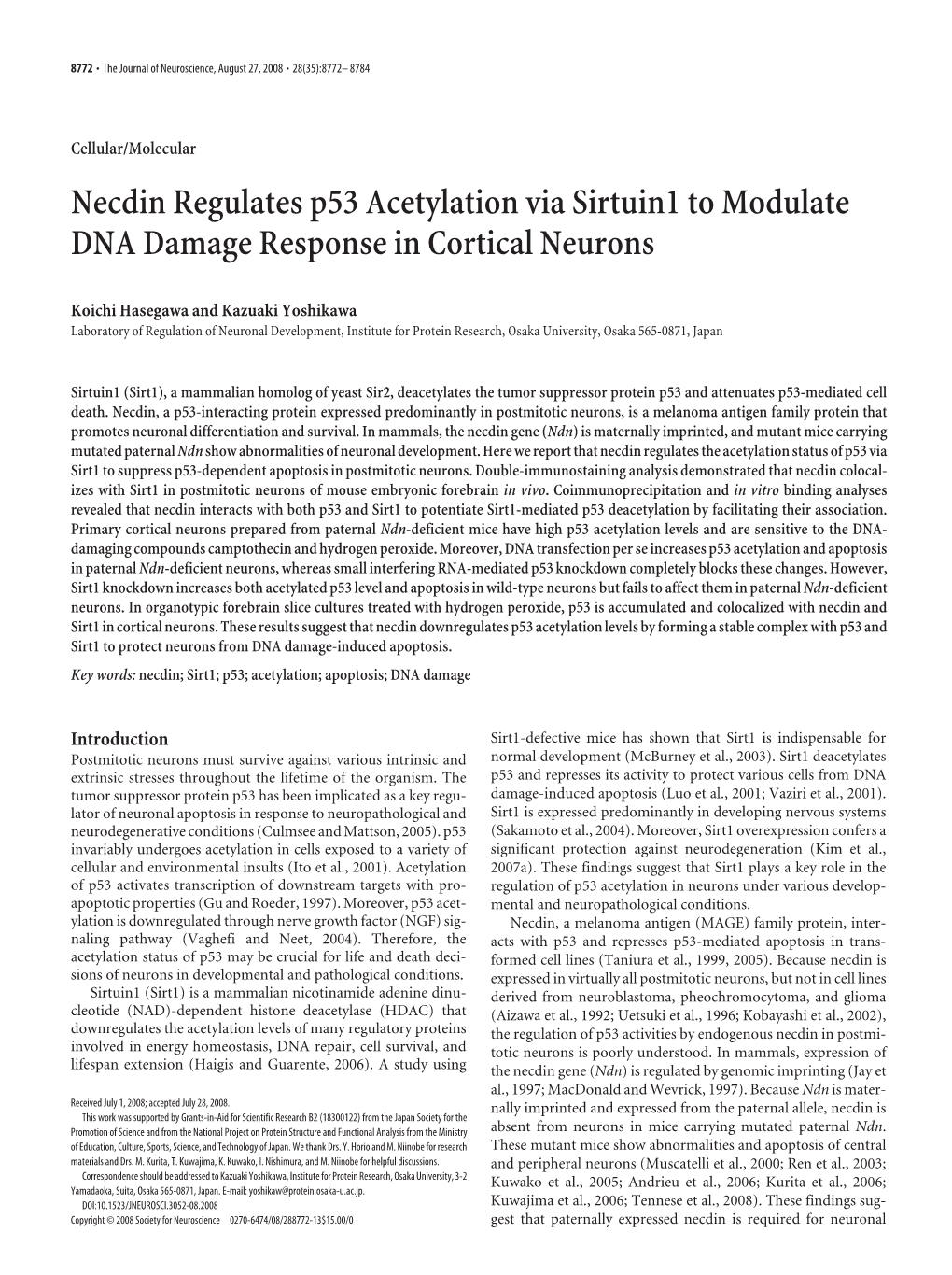 Necdin Regulates P53 Acetylation Via Sirtuin1 to Modulate DNA Damage Response in Cortical Neurons