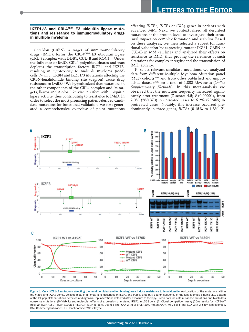 IKZF1/3 and CRL4CRBN E3 Ubiquitin Ligase Mutations and Resistance to Immunomodulatory Drugs in Multiple Myeloma