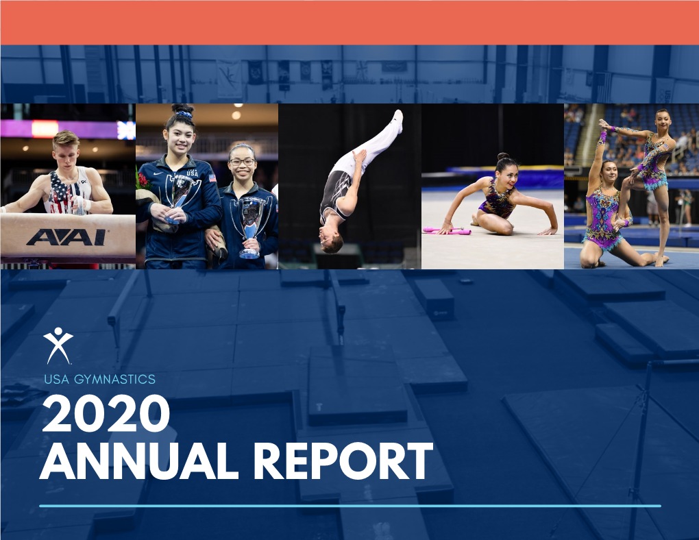 2020 Annual Report Year in Review