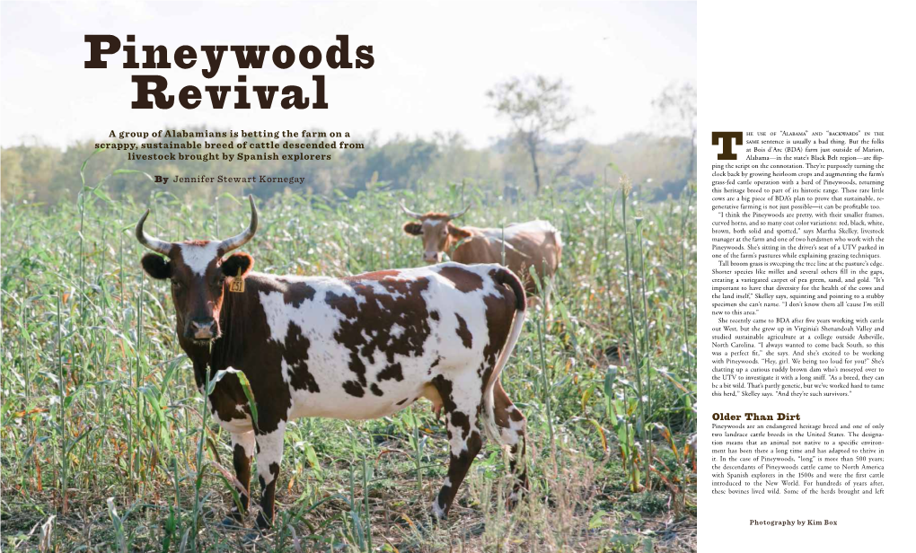 Pineywoods Revival a Group of Alabamians Is Betting the Farm on a He Use of “Alabama” and “Backwards” in the Same Sentence Is Usually a Bad Thing