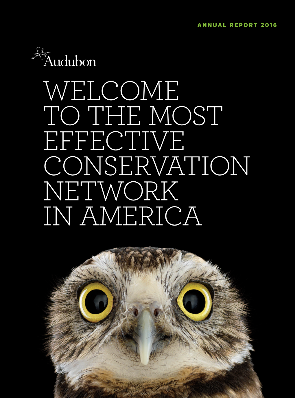 THE MOST EFFECTIVE CONSERVATION NETWORK in AMERICA Contents Juvenile American Robins Sharon Audubon Center, Connecticut