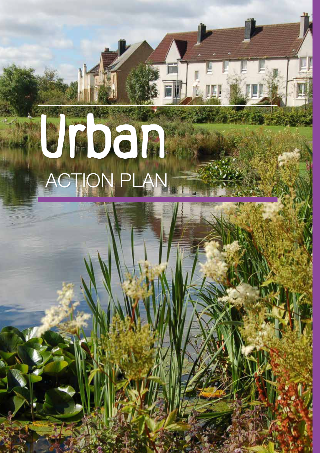 Urban ACTION PLAN 100 URBAN: ACTION PLAN Urban Landscape INTRODUCTION