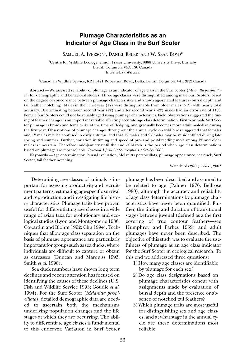 Plumage Characteristics As an Indicator of Age Class in the Surf Scoter