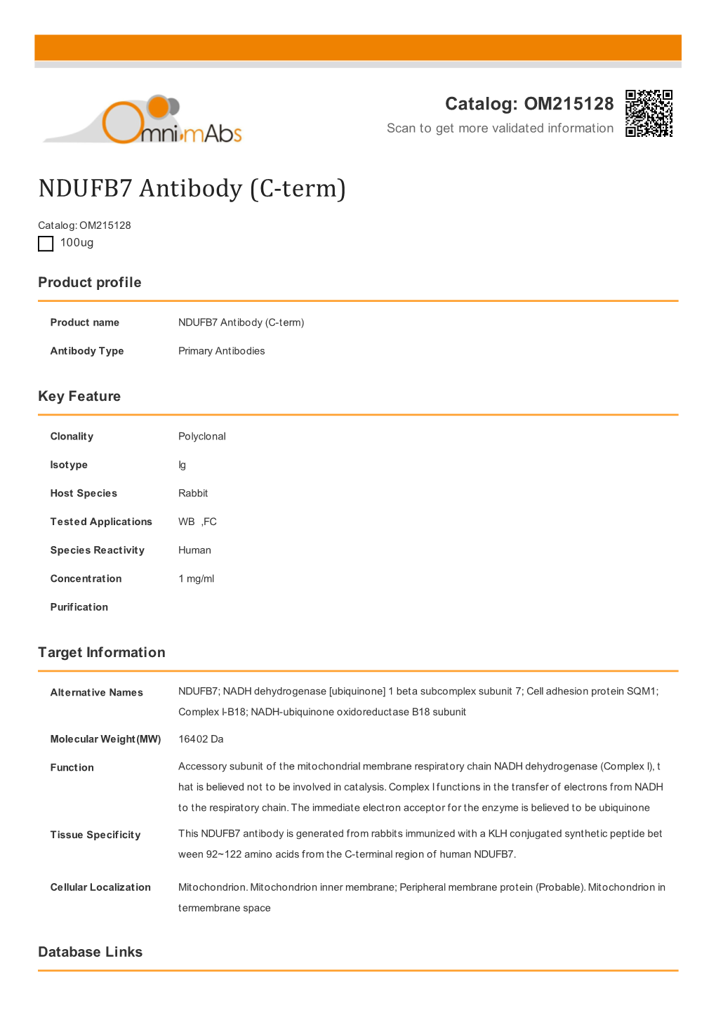 NDUFB7 Antibody (C-Term)