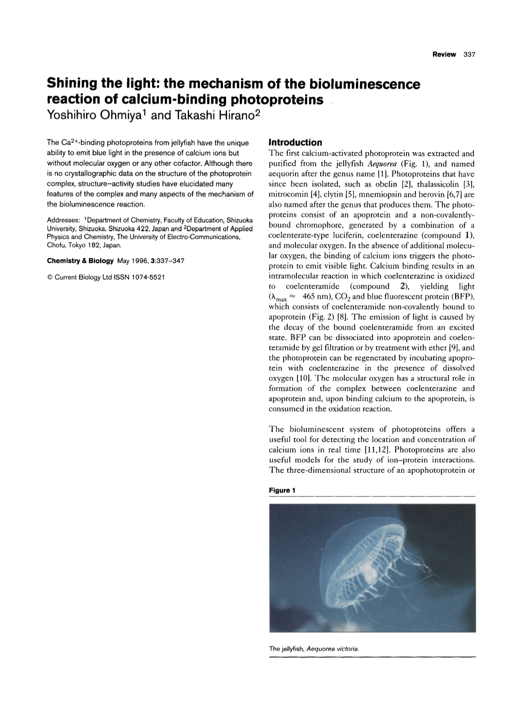 The Mechanism of the Bioluminescence Reaction of Calcium-Binding Photoproteins Yoshihiro Ohmiya’ and Takashi Hirano*